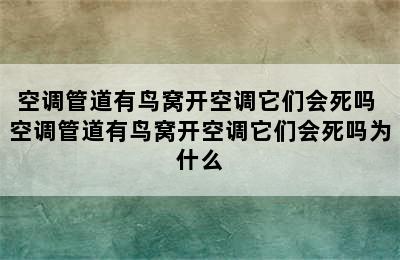 空调管道有鸟窝开空调它们会死吗 空调管道有鸟窝开空调它们会死吗为什么